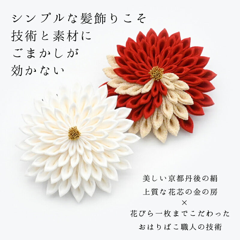 大輪菊コーム