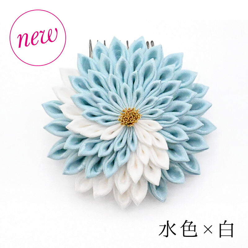 大輪菊コーム