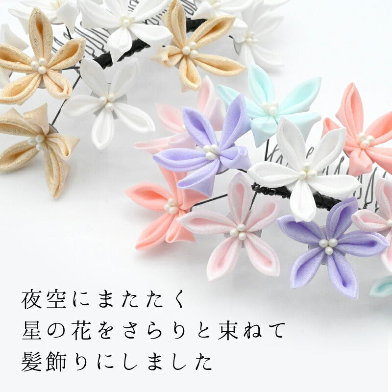星花(ほしはな)コーム 2