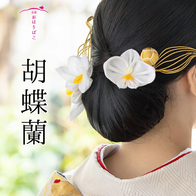 胡蝶蘭コーム