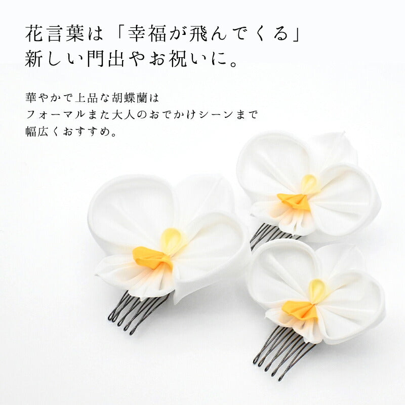 胡蝶蘭コーム