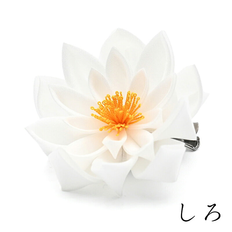 睡蓮クリップ 13