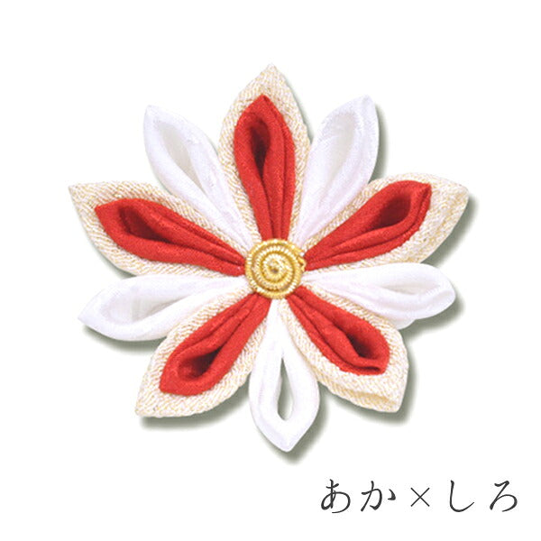 菊花(金ちらし×そめはな)クリップ・コーム コーム / あか×しろ