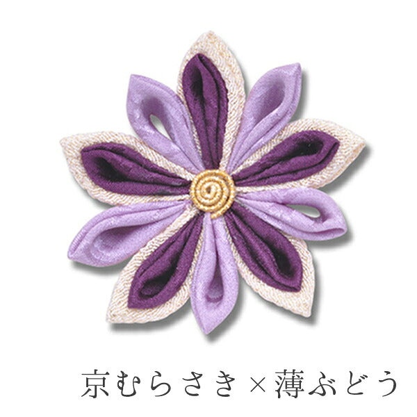 菊花(金ちらし×そめはな)クリップ・コーム コーム / 京むらさき×薄ぶどう