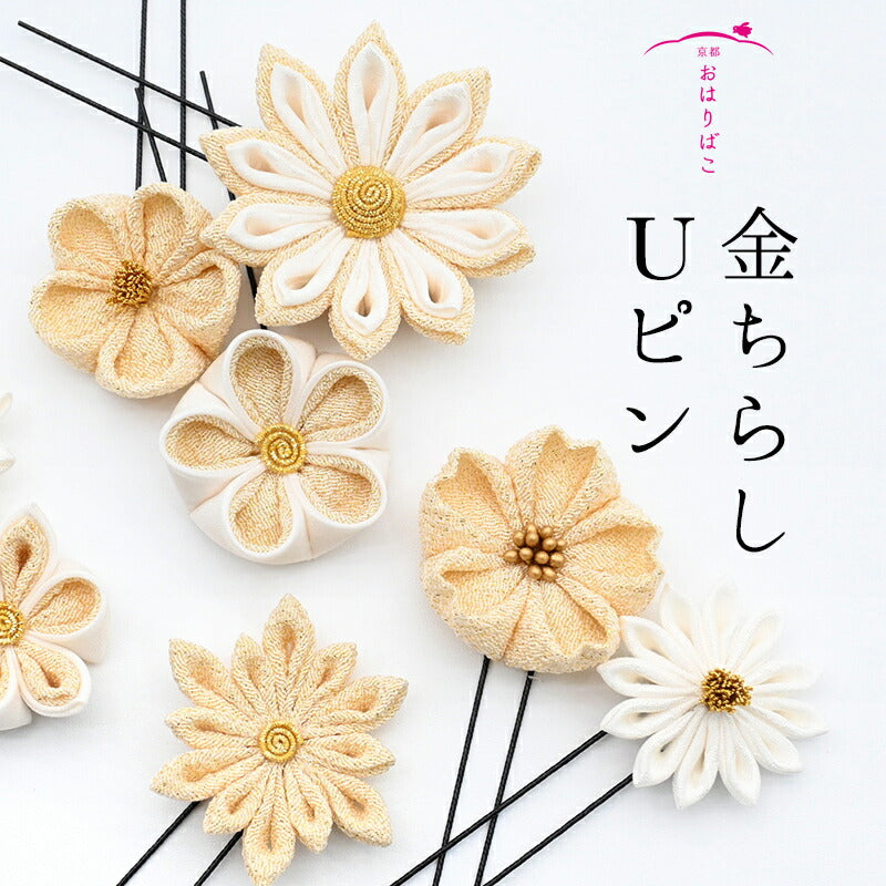 金ちらし菊