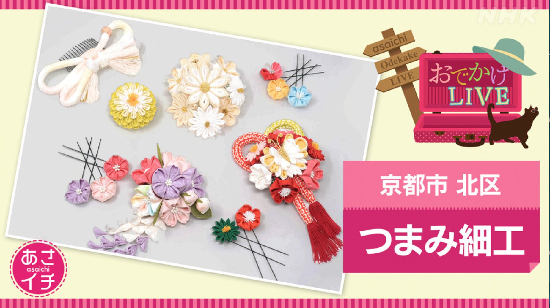 【メディア情報】NHK「あさイチ」おでかけLIVE