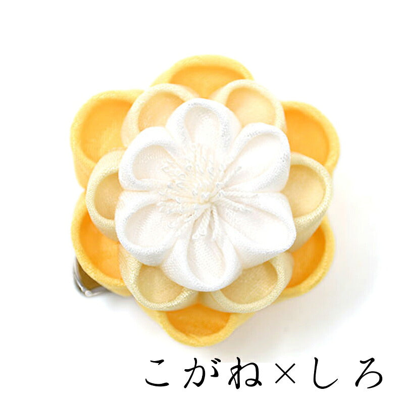 八重梅クリップ こがね×しろ｜正絹 つまみ細工 京都 おはりばこ