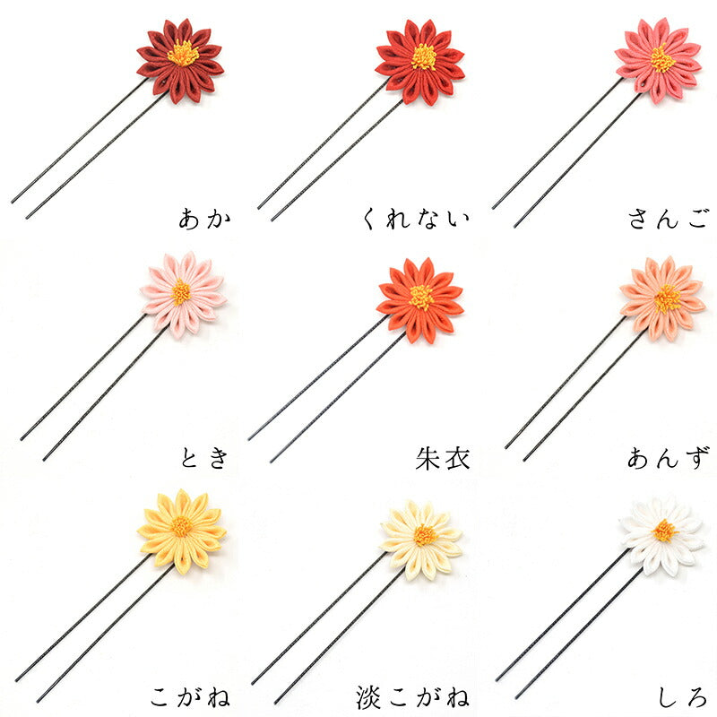菊そめはなUピン