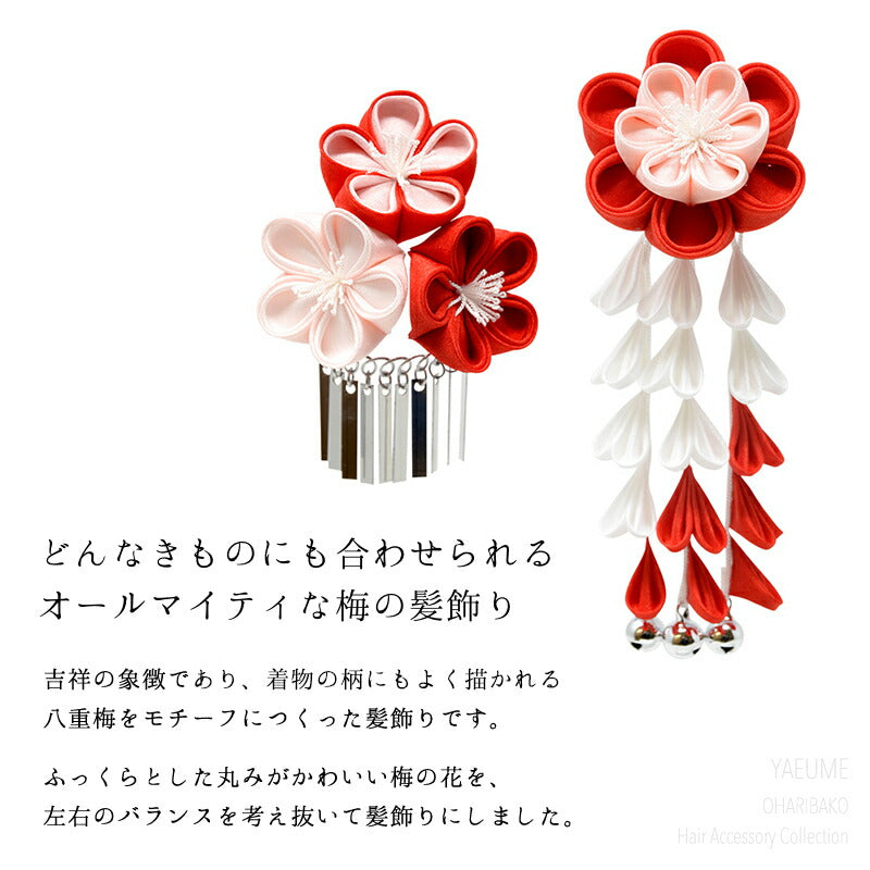 三歳八重梅パッチンセット