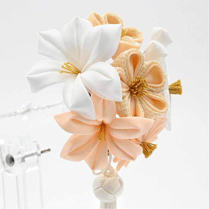 プチリス