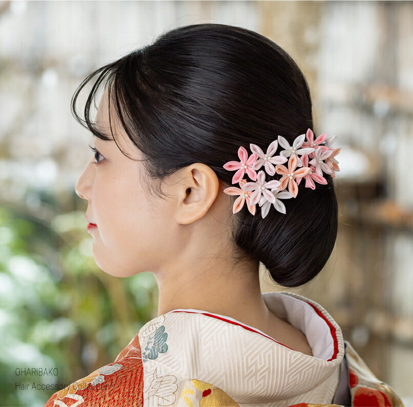 星花（ほしはな）コーム 13