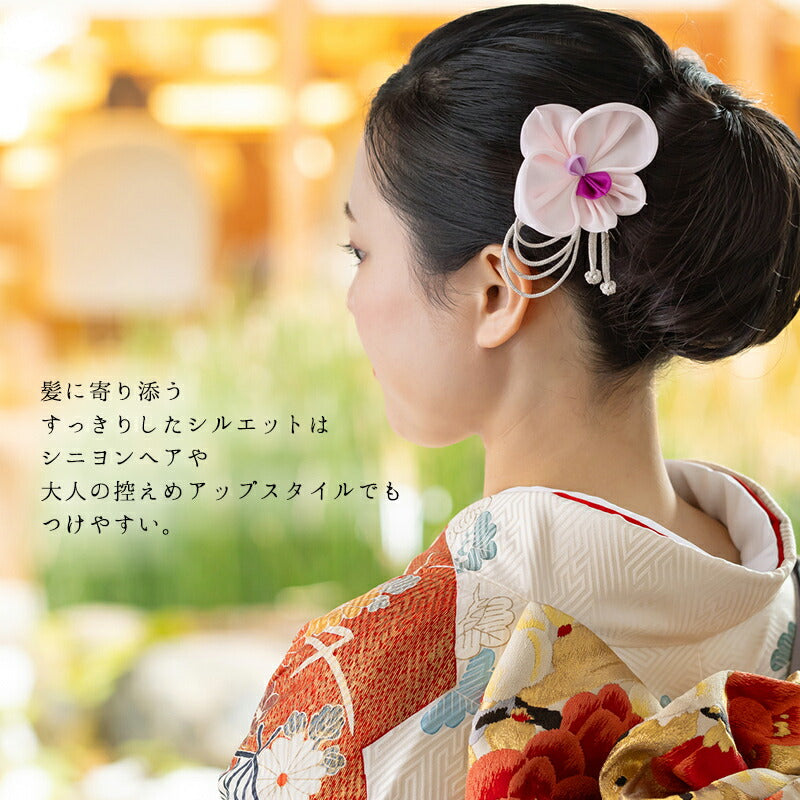 胡蝶蘭コーム