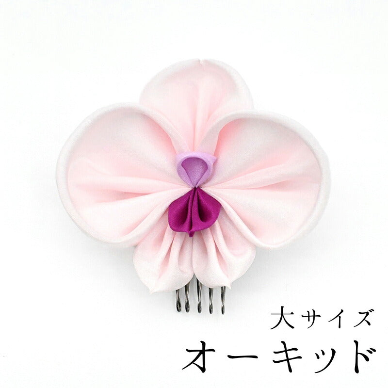 胡蝶蘭コーム