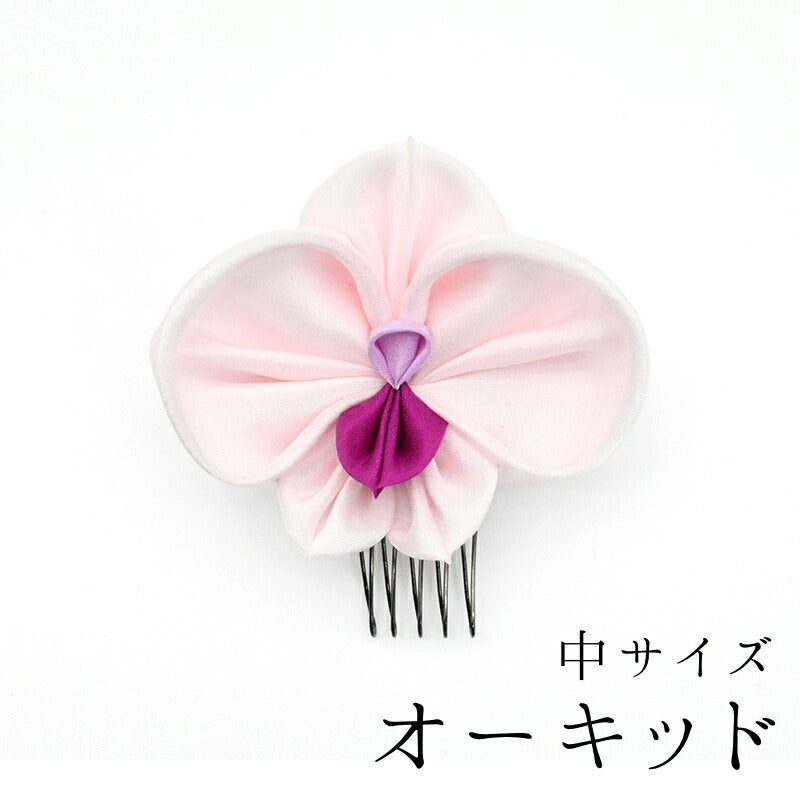 オーキッド / 中