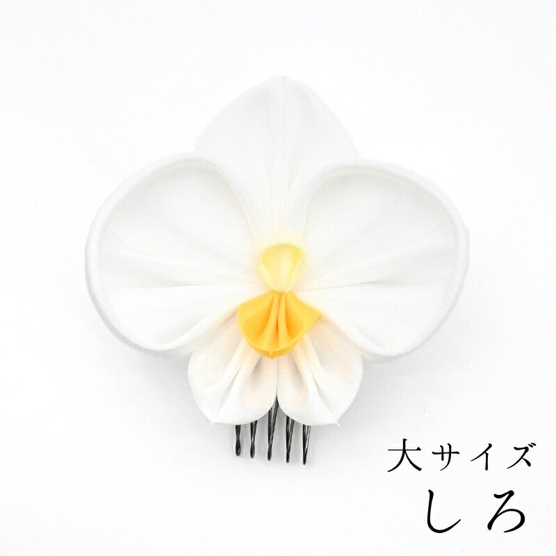 胡蝶蘭コーム