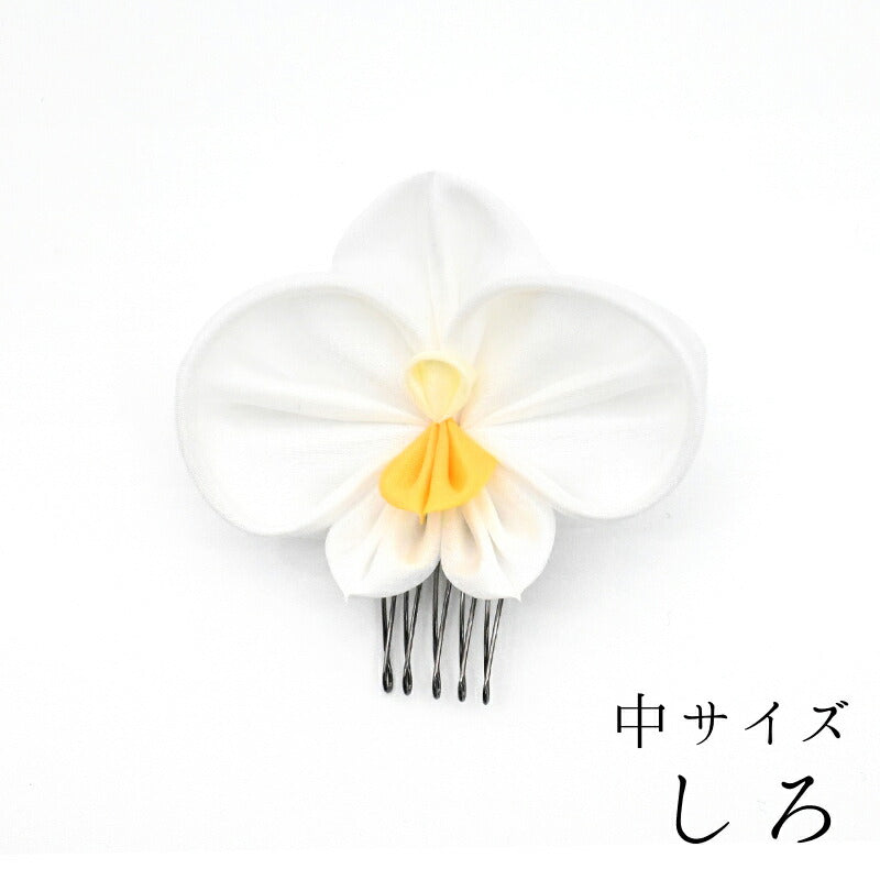 しろ / 中