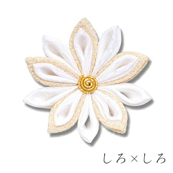 菊花（金ちらし×そめはな）クリップ・コーム コーム / しろ×しろ