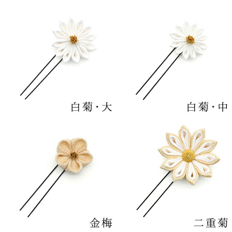 金ちらし菊