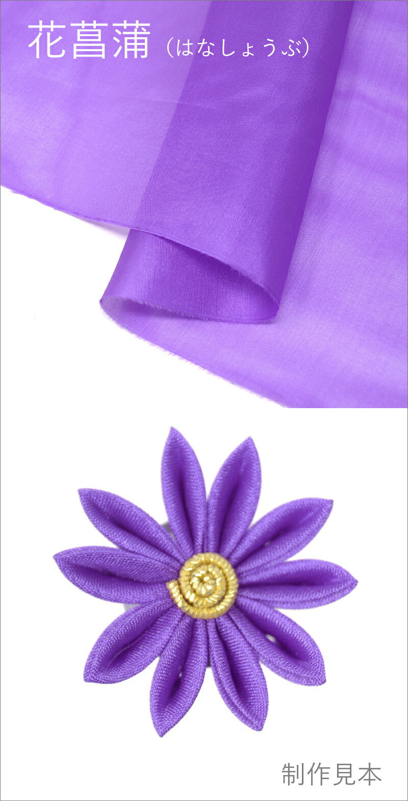 6匁羽二重 花菖蒲
