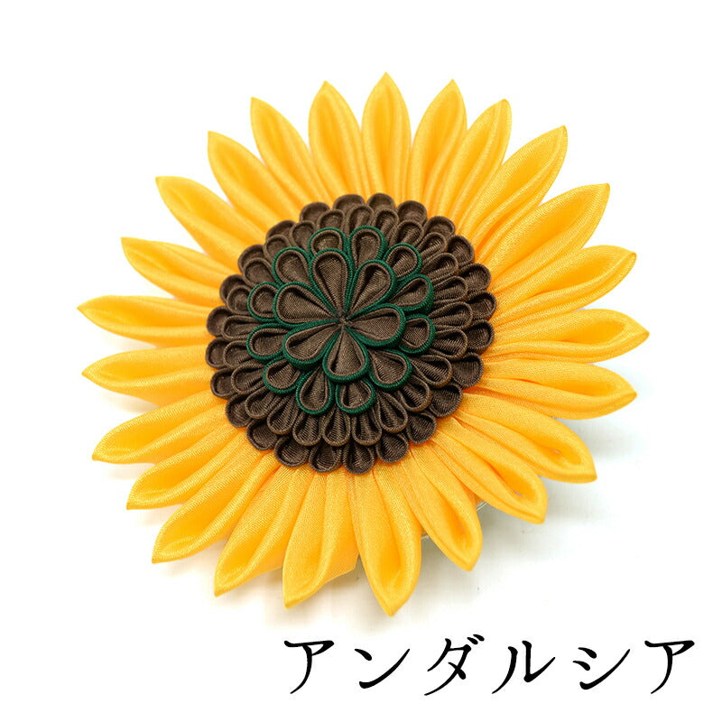 アンダルシア（黄色）