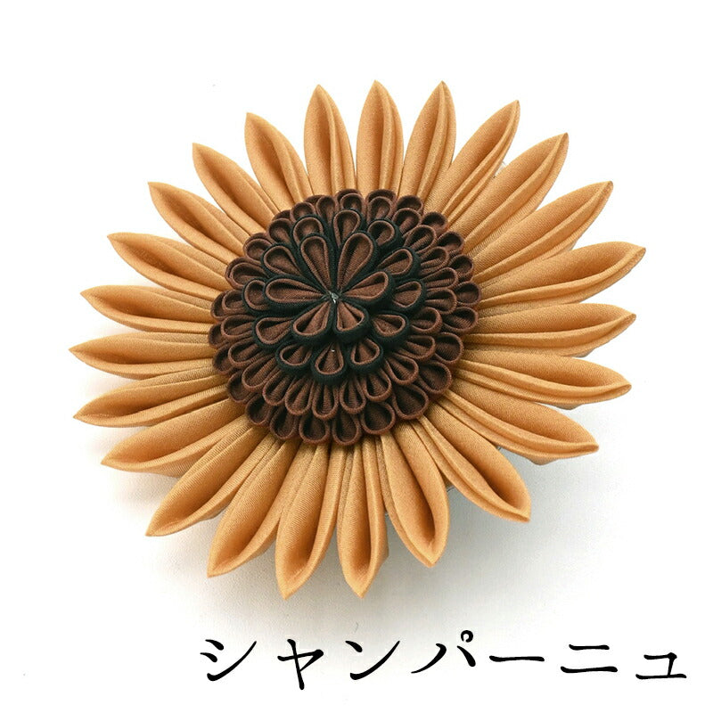 シャンパーニュ